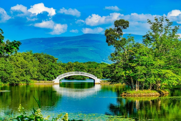 Photo l'été du parc de campagne d'onuma