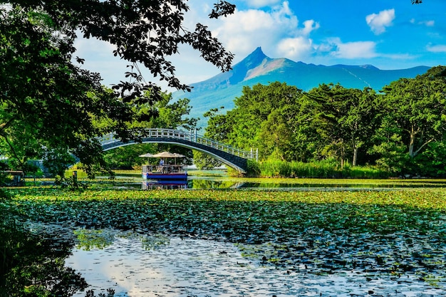 Photo l'été du parc de campagne d'onuma