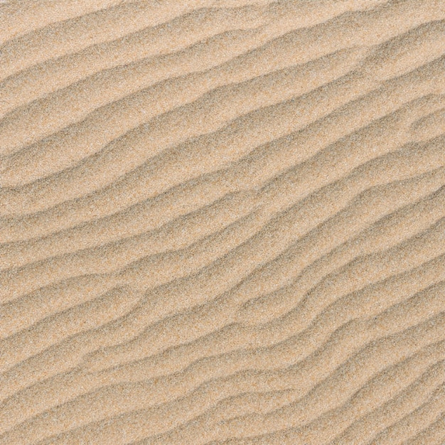 été, mer, sable, texture, seamless, soleil