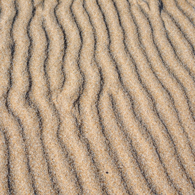 été, mer, sable, texture, seamless, soleil