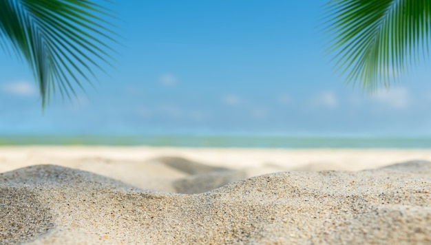 Été de plage de sable avec espace libre de feuille de palmier flou