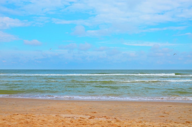 été voyage mer plage vague ciel