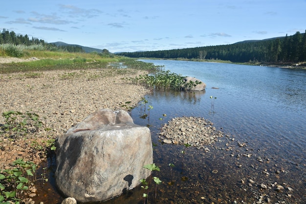 Les étendues des rivières de la taïga de montagne