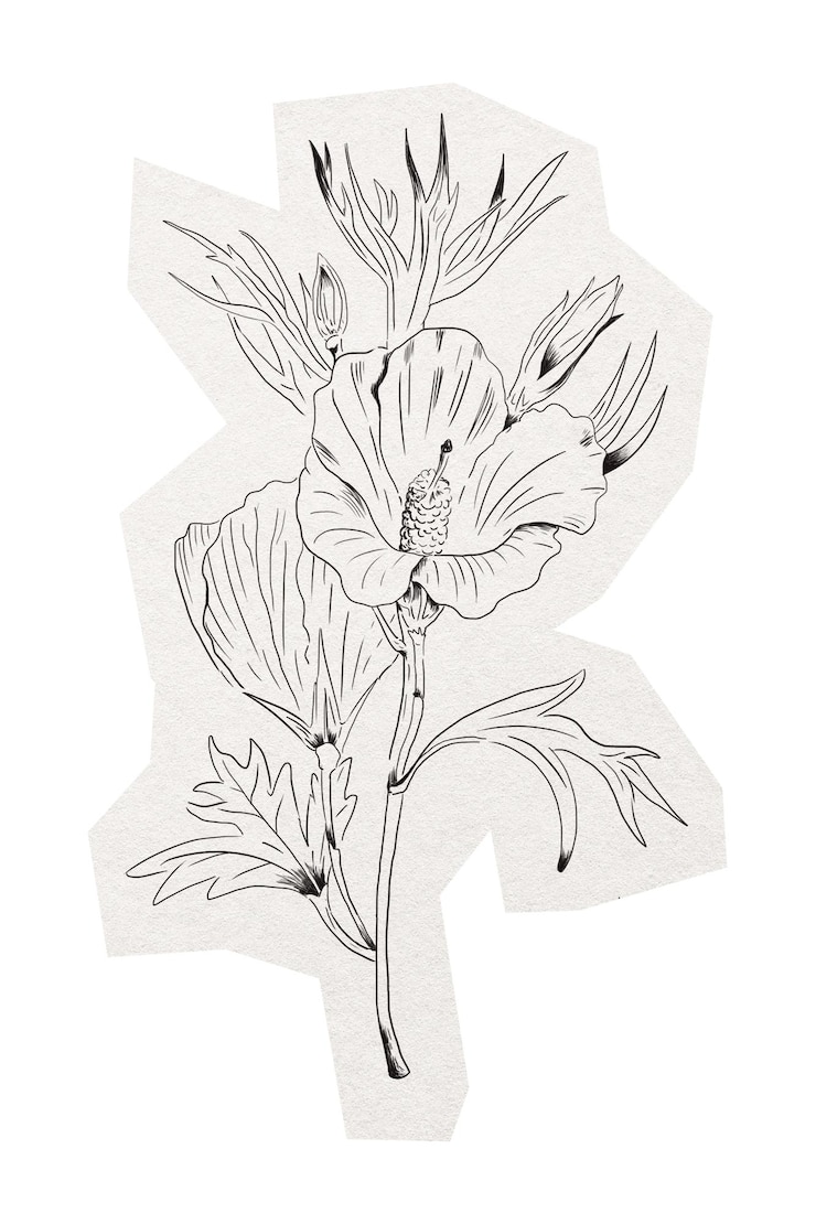 Photo étiquette d'art en ligne png de fleurs sauvages élément de collage d'hibiscus lilas sur un fond transparent