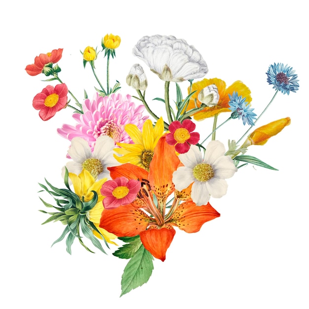 Étiquette esthétique de fleur png arrière-plan transparent botanique