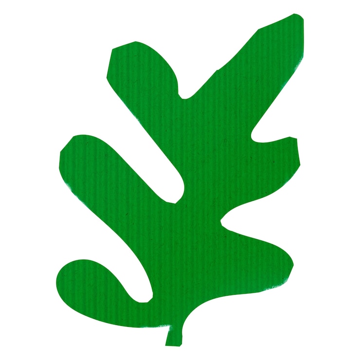 Photo étiquette à feuilles d'artisanat en papier png design vert fond transparent