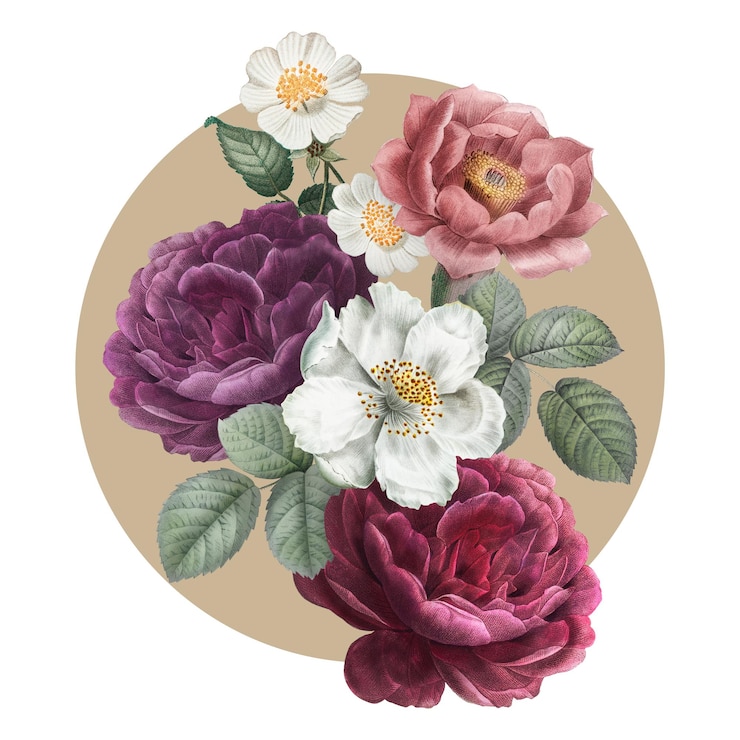 Photo étiquette d'insigne de rose française png illustration de fleur vintage en cercle insigne à fond transparent