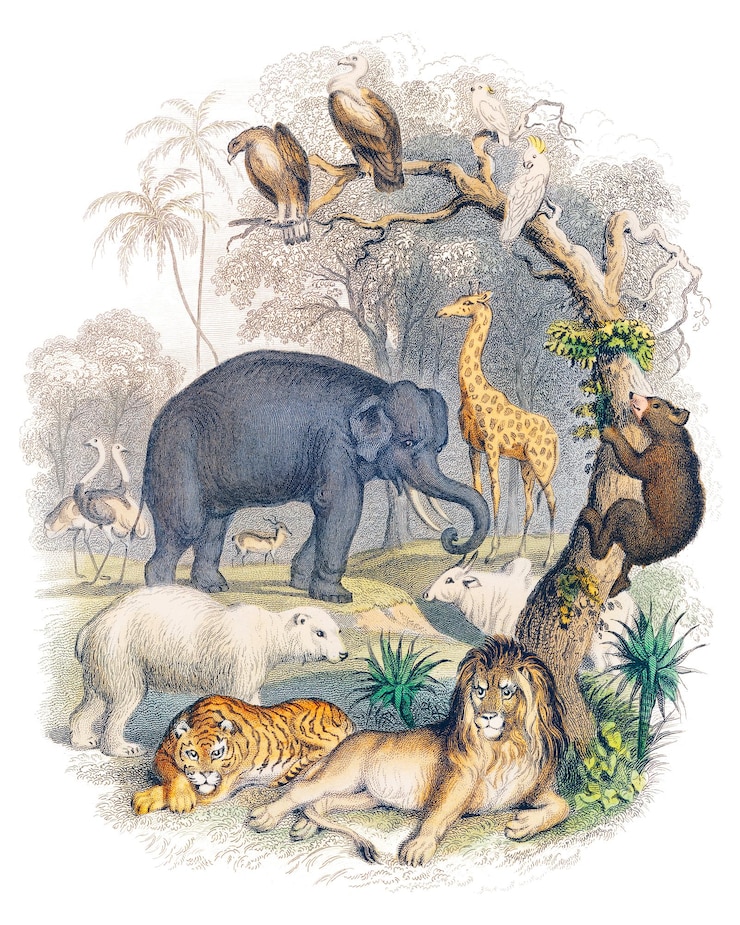 Photo étiquette de nature animée png goldsmiths illustration vintage à fond transparent