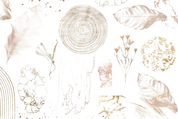 Photo étiquette png botanique séchée à feuilles d'or et à fleurs sur fond transparent
