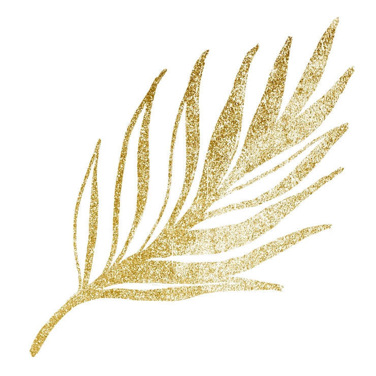 Photo étiquette png en feuille d'or illustration botanique minimale pour album fond transparent