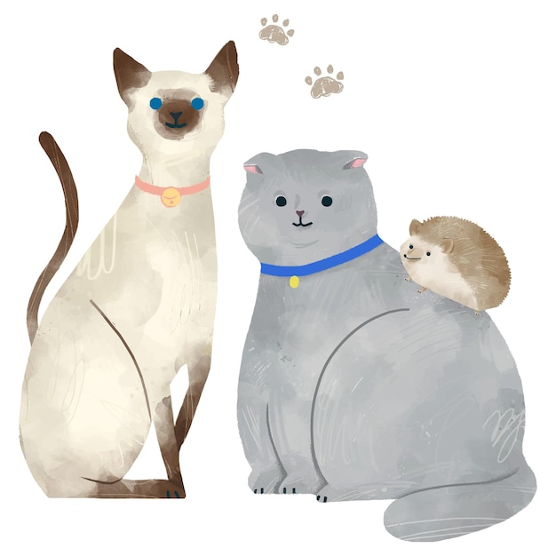 Étiquette png avec une illustration d'animaux de compagnie mignons sur un fond transparent