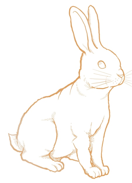 Étiquette png de lapin doré animal du zodiaque chinois en ligne dessin artistique fond transparent