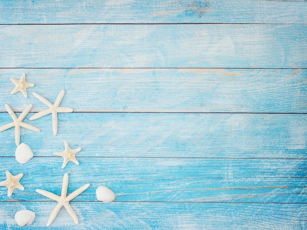 Photo Étoile de mer sur fond bleu clair.