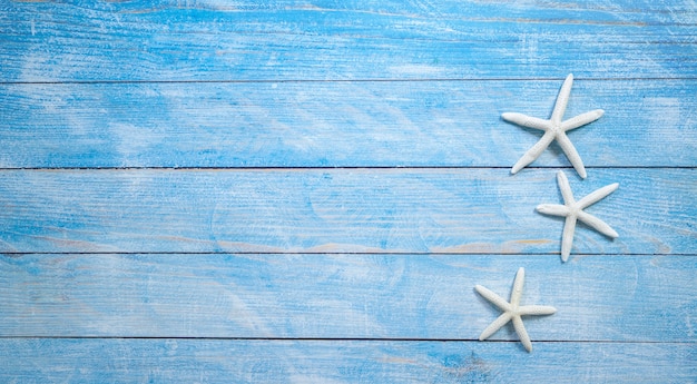 Étoile de mer sur fond bleu