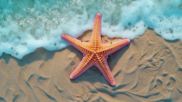 étoile de mer sur la plage de sable