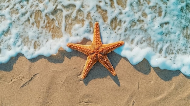 étoile de mer sur la plage de sable