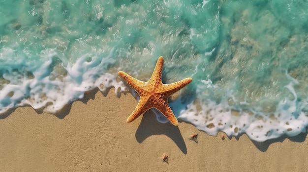 étoile de mer sur la plage de sable