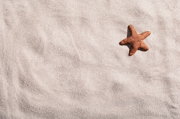 L'étoile de mer se trouve sur le sable de la mer sous le soleil d'été brillant