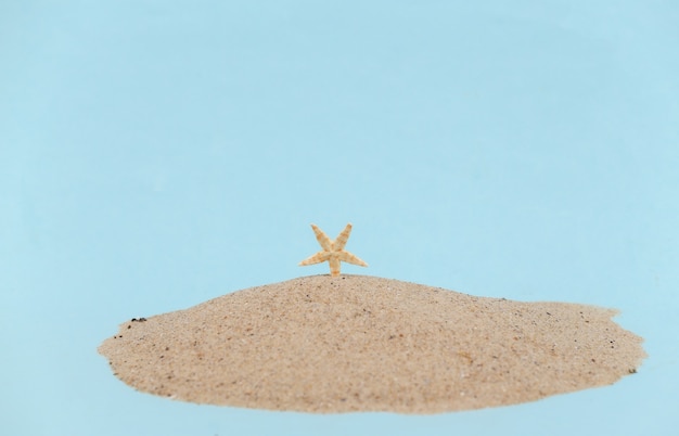 L'étoile de mer sort du sable sur un fond de studio bleu.