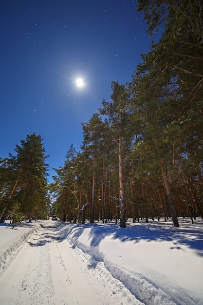 L'étoile et la pleine lune dans le ciel la nuit. Route d'hiver avec de la neige profonde dans la forêt de conifères.