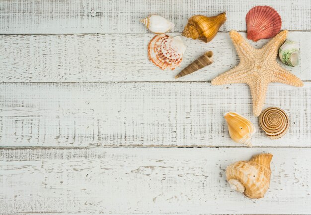 étoile de poisson et coquillages sur le fond en bois