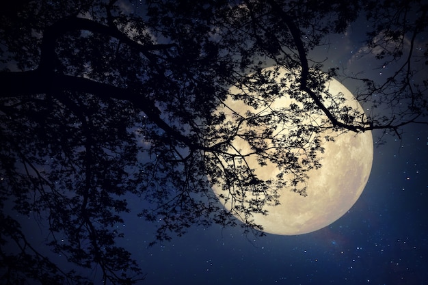 L&#39;étoile de la voie lactée dans les cieux nocturnes, la pleine lune et l&#39;ancien arbre - L&#39;art de style rétro avec le ton de couleur vintage (éléments de cette image de lune fournies par la NASA)