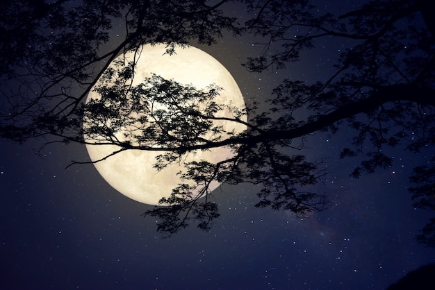 Photo l'étoile de la voie lactée dans les cieux nocturnes, la pleine lune et l'ancien arbre - l'art de style rétro avec le ton de couleur vintage (éléments de cette image de lune fournies par la nasa)