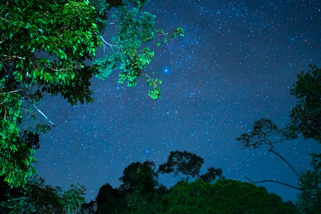 étoiles avec un ciel bleu