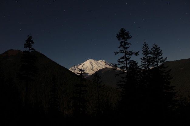 Photo les étoiles du parc national du mont rainier