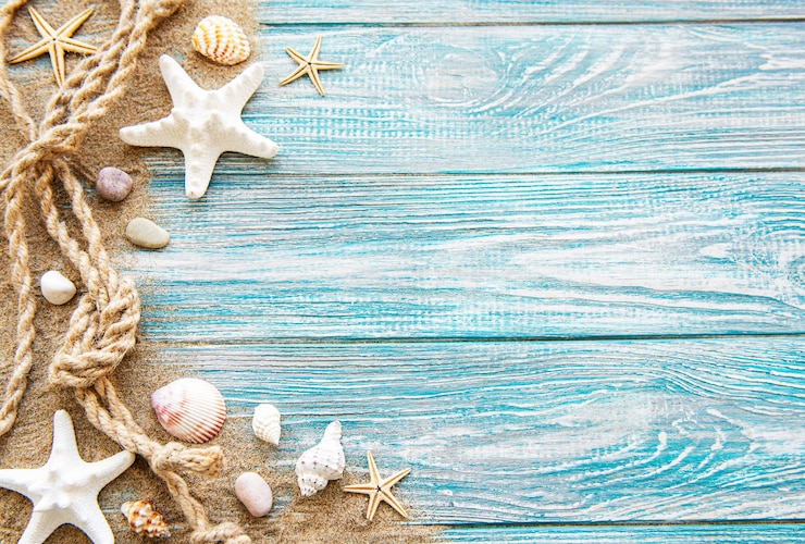 Photo étoiles et fond de coquillage
