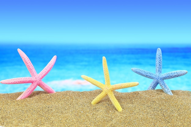 Étoiles de mer colorées sur la plage devant un horizon bleu