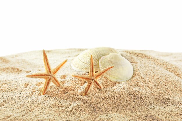 Photo Étoiles de mer et coquillages sur le sable isolé sur fond blanc