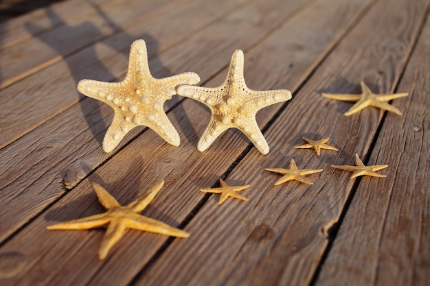 Photo Étoiles de mer sur un fond en bois.