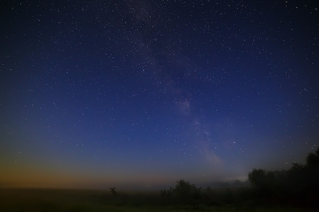 Photo Étoiles de la voie lactée dans le ciel nocturne. espace en arrière-plan de la forêt.