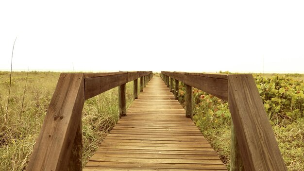 Photo un étroit sentier en bois le long des arbres