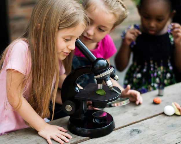 Les étudiants utilisent le microscope pour l&#39;éducation