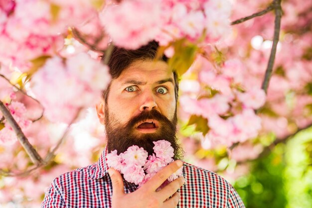 Photo Événements d'avril floraison tendre rose week-end dans le concept de jardin promenade dans le parc la beauté naturelle m'entoure bel homme barbu à l'extérieur joyeuses pâques hipster en fleur de cerisier homme en fleur de sakura