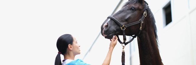 Examen médical vétérinaire femme de cheval noir