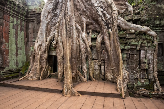 Excursion d'une journée au Cambodge