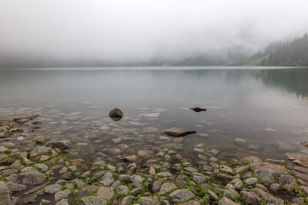 Excursion d'une journée en Pologne