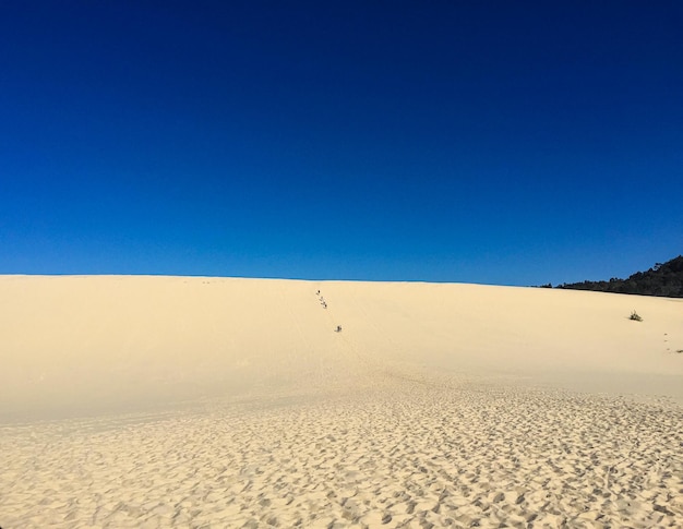 Excursions en quad sur l'île de Moreton