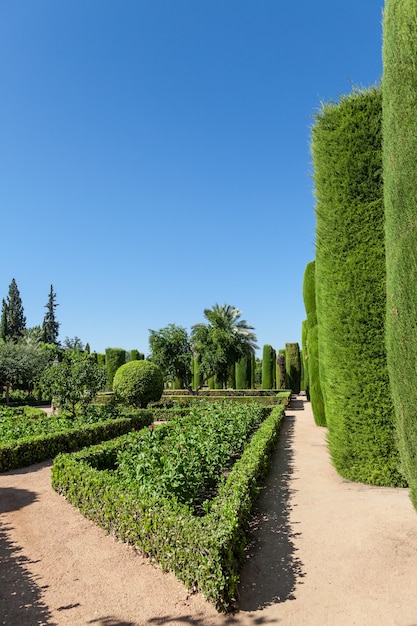 Exemple de conception de jardin à l'italienne au printemps