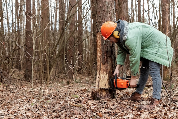 Exploitation forestière, travailleur en tenue de protection avec une scie à chaîne sciant le bois