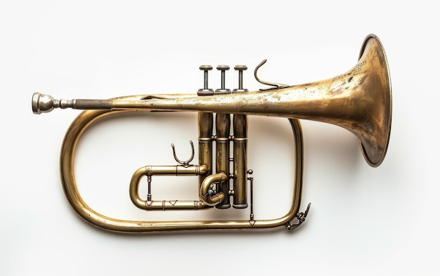 Explorant la mélodie de Flugelhorn39 sur un fond blanc