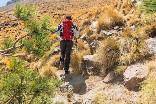 Photo explorateur dans la nature libre et énergique randonnée au sommet de la montagne avec copier l'espace inspiration en plein air