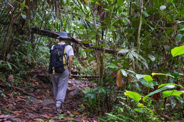 Photo explorer la forêt tropicale de bornéo