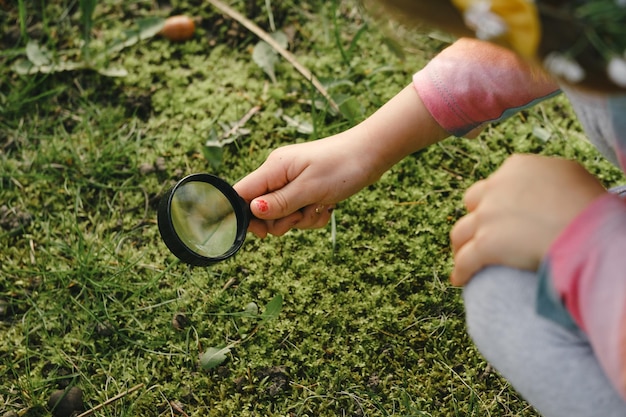 Explorer la nature avec une loupe