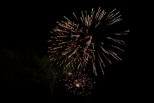 Explosions de feux d'artifice en violet et or lors d'une fête dans un parc. Avant le ciel noir de la nuit...