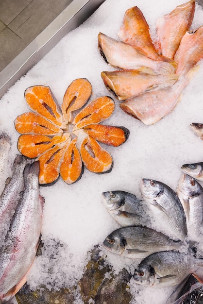 Exposition de poissons sur un marché avec une variété d'espèces, y compris le saumon, la morue et le flétan