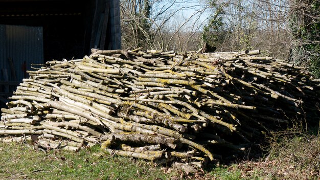 Extérieur, tas de bois pour la cheminée